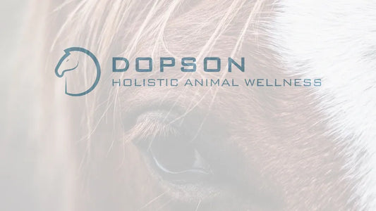 Stock Tank Pools & Holistic Animal Wellness